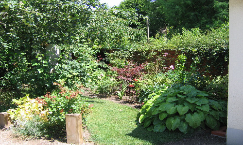 Après 5 ans, évolution du jardin créé en 2006. - Travaux réalisés